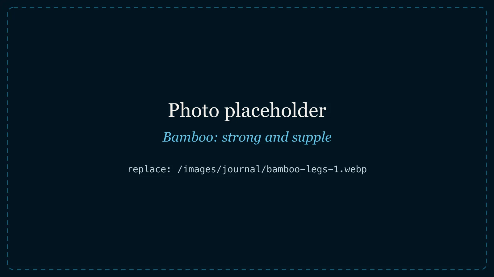 photo placeholder, original Wix image: 11062b_f96e1d076c944acc9d5a57e26b6db244~mv2.jpg Bamboo: strong, grounded, and still able to sway