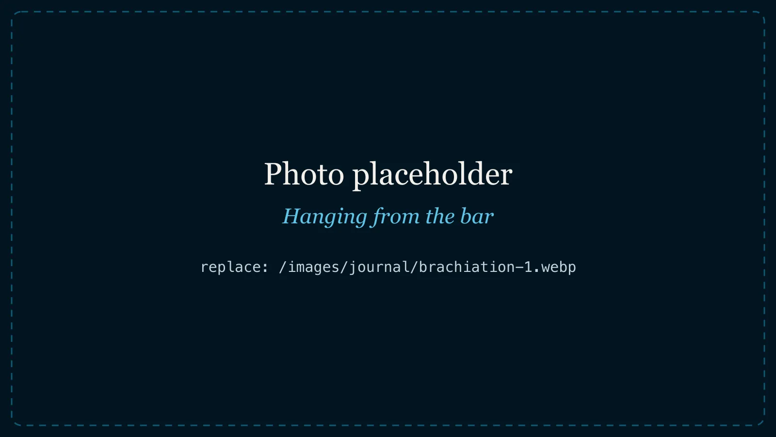 photo placeholder, original Wix image: 19c5e9_cf9f0aca9c3f4199b18e10b768658bce~mv2.jpeg Hanging from the bar