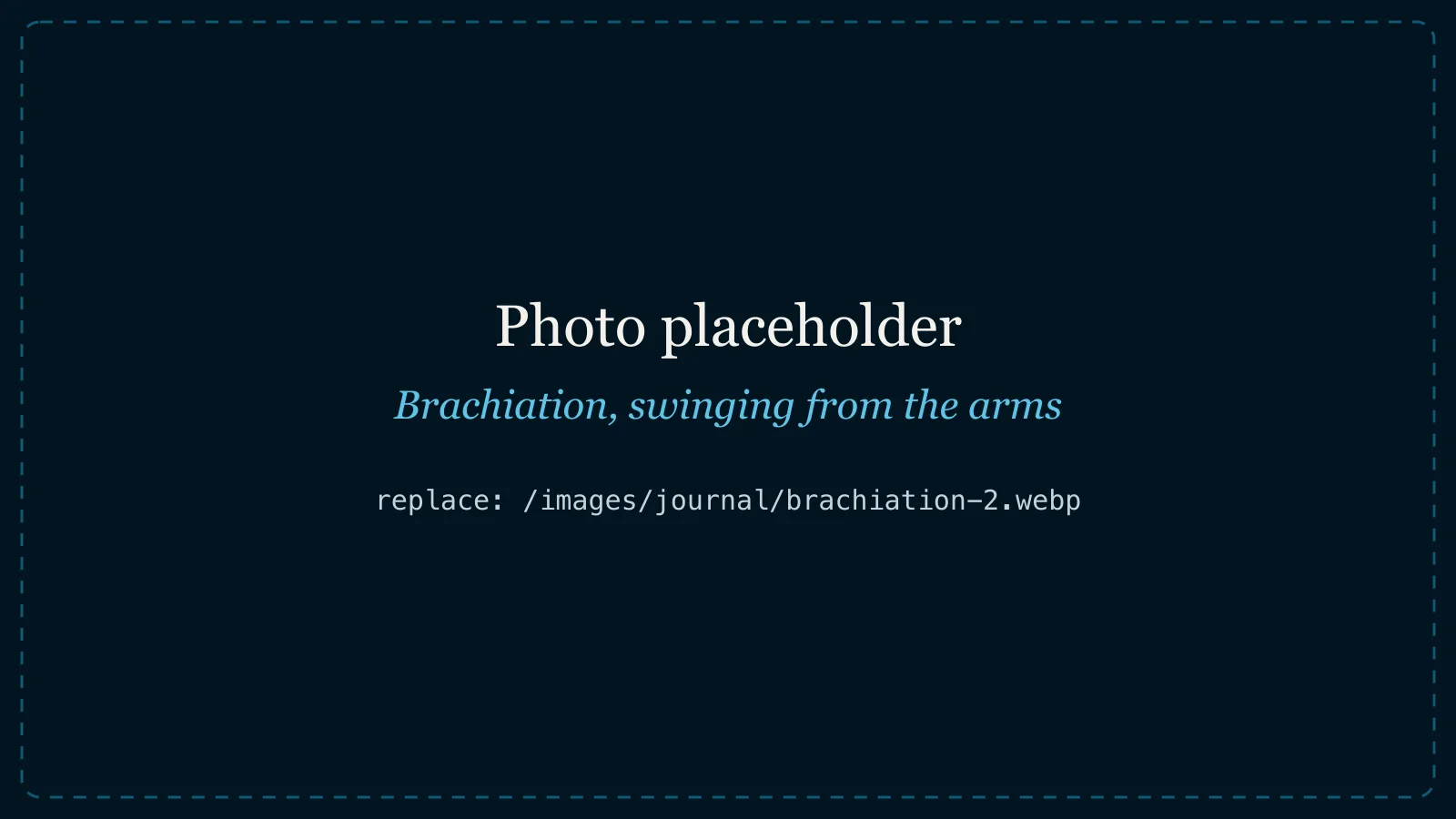 photo placeholder, original Wix image: 19c5e9_58171b0a6bd84f51809170137243c90a~mv2.jpeg Brachiation, swinging from the arms